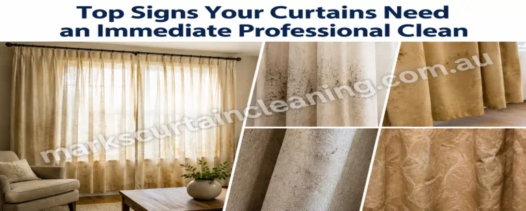 Curtain Cleaning Signs